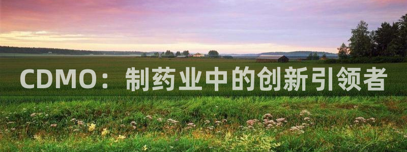 九游会老哥俱乐部：CDMO：制药业中的创新引领者