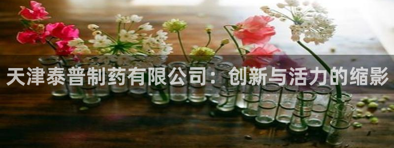 老哥俱乐部是干什么的：天津泰普制药有限公司：创新与活力的缩影