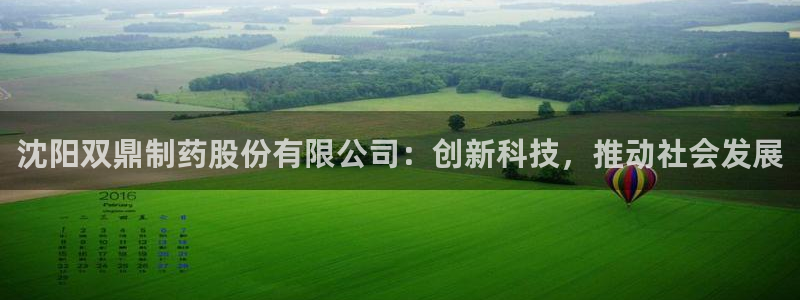 九游老哥俱乐部官网登录：沈阳双鼎制药股份有限公司：创新科技，推动社会发展