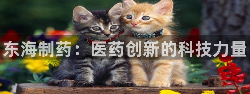 九游老哥俱乐部官网登录不了：东海制药：医药创新的科技力量