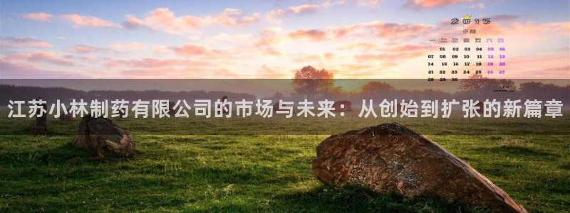 老哥俱乐部是干什么的：江苏小林制药有限公司的市场与未来：从创始到扩张的新篇章