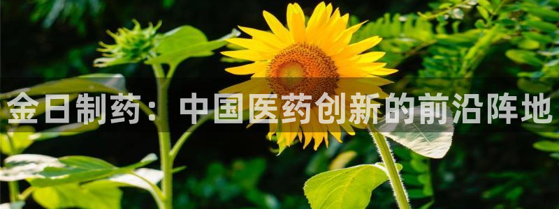 九游会老哥必备的交流社区：金日制药：中国医药创新的前沿阵地