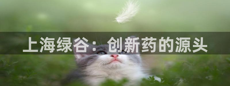 九游会老哥俱乐部论坛版：上海绿谷：创新药的源头
