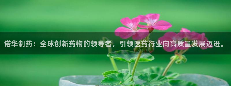 九游会老哥俱乐部必备的交流社区：诺华制药：全球创新药物的领导者，引领医药行业向高质量发展迈进。