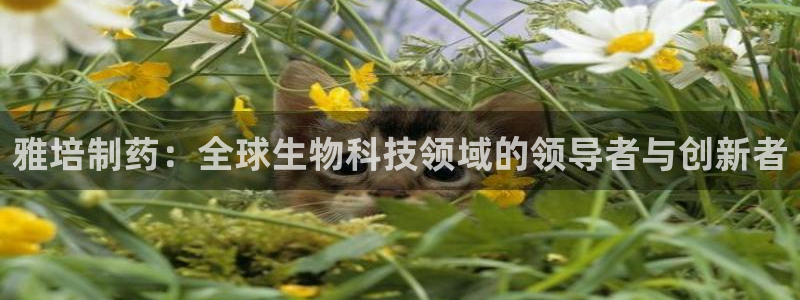 九游会老哥必备的交流社区：雅培制药：全球生物科技领域的领导者与创新者