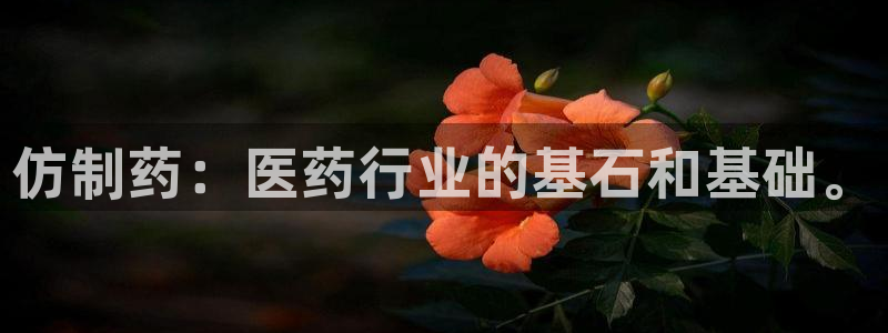 9游会老哥：仿制药：医药行业的基石和基础。
