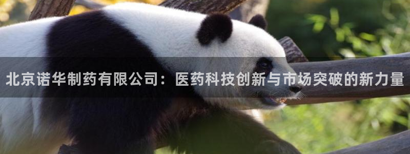 九游会老哥：北京诺华制药有限公司：医药科技创新与市场突破的新力量