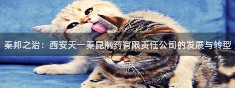九游老哥俱乐部官网登录不了：秦邦之治：西安天一秦昆制药有限责任公司的发展与转型