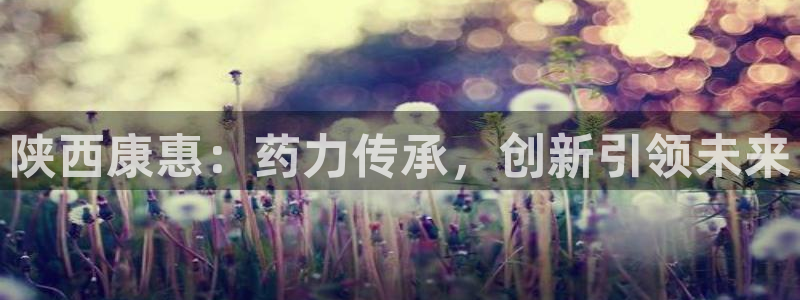 九游会老哥：陕西康惠：药力传承，创新引领未来