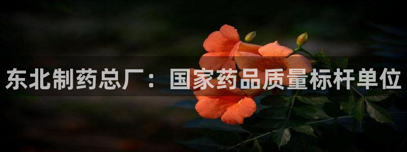 ag九游老哥俱乐部：东北制药总厂：国家药品质量标杆单位