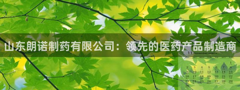 九游会老哥俱乐部官网：山东朗诺制药有限公司：领先的医药产品制造商