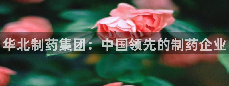 九游会老哥俱乐部官网首页：华北制药集团：中国领先的制药企业