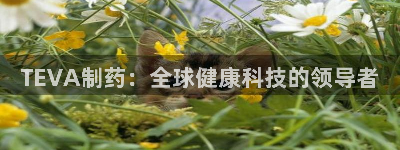 老哥吧九游会下架吗：TEVA制药：全球健康科技的领导者