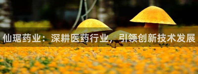 九游老哥俱乐部官网登录不了：仙琚药业：深耕医药行业，引领创新技术发展