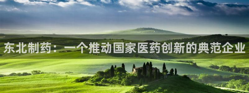 九游会老哥必备的交流社区九：东北制药：一个推动国家医药创新的典范企业