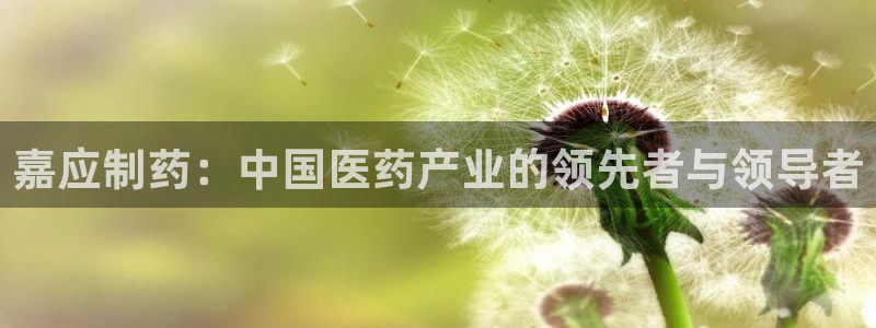老哥俱乐部是干什么的啊：嘉应制药：中国医药产业的领先者与领导者