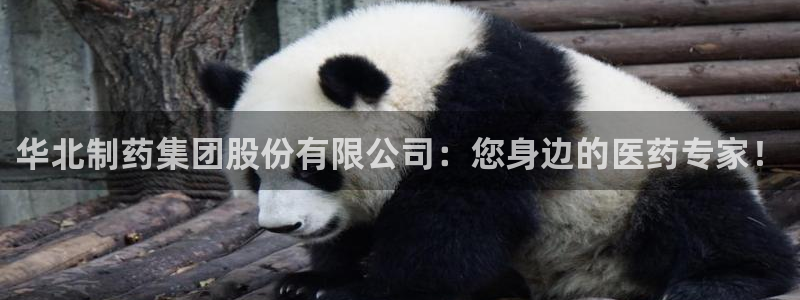 ag九游会老哥俱乐部