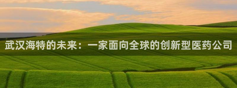 老哥俱乐部是干什么的：武汉海特的未来：一家面向全球的创新型医药公司