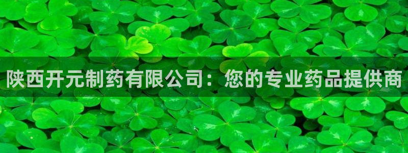 ag九游会老哥：陕西开元制药有限公司：您的专业药品提供商
