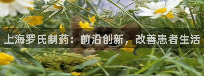 九游会老哥必备的交流社区