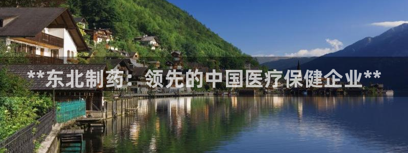 九游老哥俱乐部官网登录网址：**东北制药：领先的中国医疗保健企业**