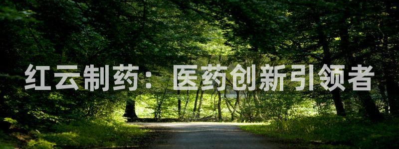 9游会老哥：红云制药：医药创新引领者