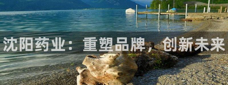 九游老哥俱乐部官网登录：沈阳药业：重塑品牌，创新未来