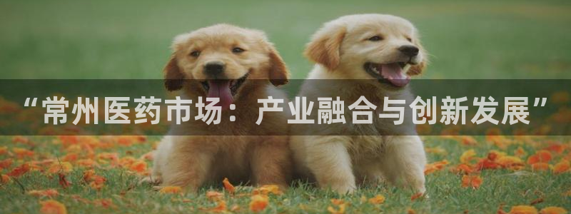 九游会老哥俱乐部官网：“常州医药市场：产业融合与创新发展”