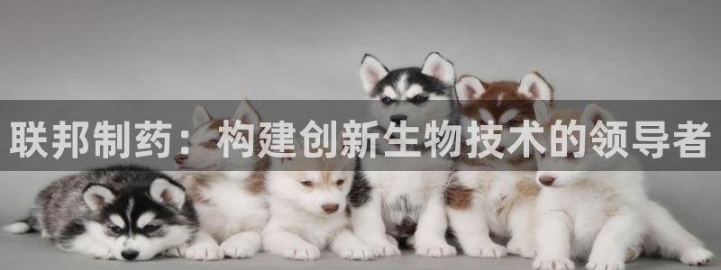 9游会老哥俱乐部：联邦制药：构建创新生物技术的领导者