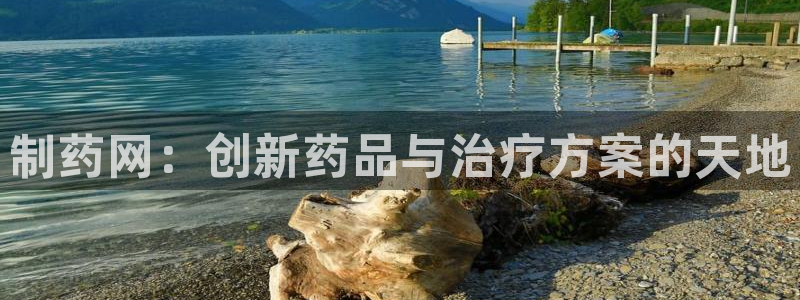 九游会老哥俱乐部：制药网：创新药品与治疗方案的天地