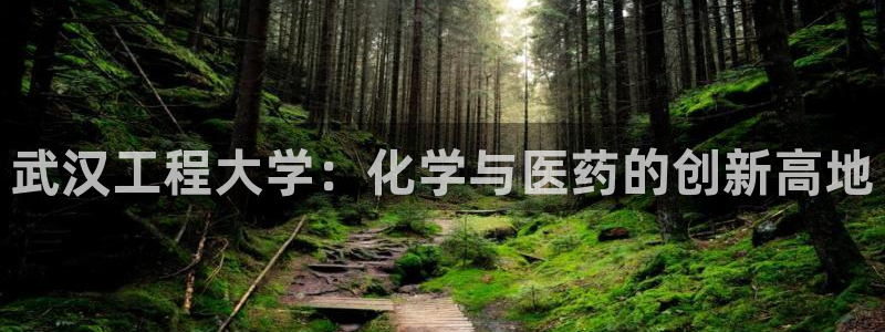 九游老哥俱乐部官网登录网址：武汉工程大学：化学与医药的创新高地
