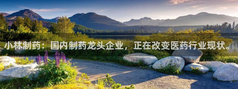 九游老哥俱乐部登录：小林制药：国内制药龙头企业，正在改变医药行业现状。