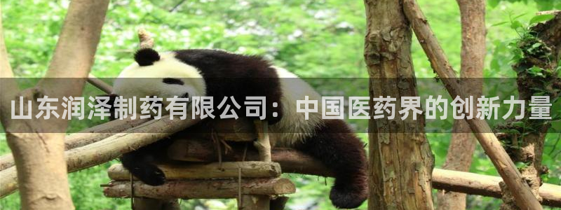 九游老哥俱乐部登录：山东润泽制药有限公司：中国医药界的创新力量