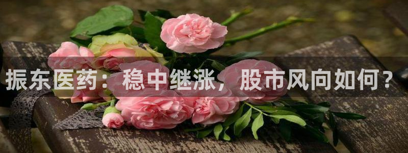 9游会老哥：振东医药：稳中继涨，股市风向如何？
