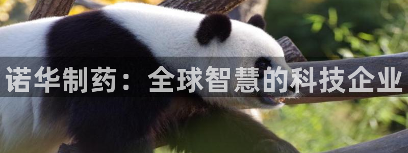 九游会老哥俱乐部论坛版：诺华制药：全球智慧的科技企业