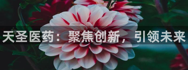 usdt九游会老哥俱乐部