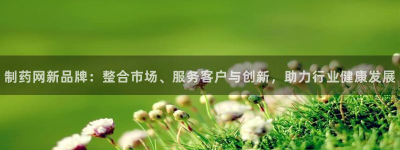 老哥吧九游会下架吗