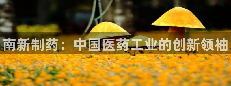 ag九游老哥俱乐部