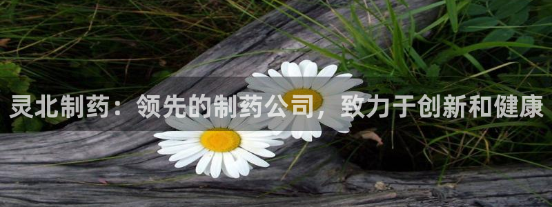 九游会老哥：灵北制药：领先的制药公司，致力于创新和健康