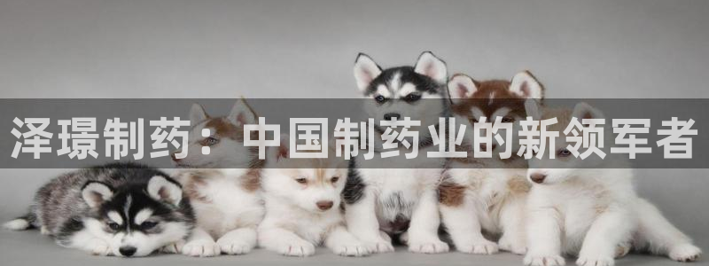 九游会老哥俱乐部官网：泽璟制药：中国制药业的新领军者